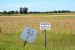 2014-07-24, 023, View at Parking O-4