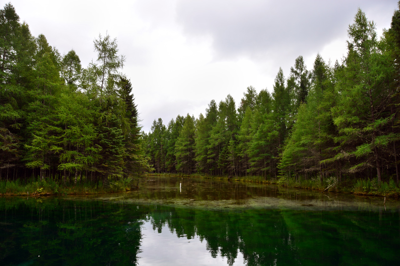 2014-08-16, 018, Big Spring State Park, MI