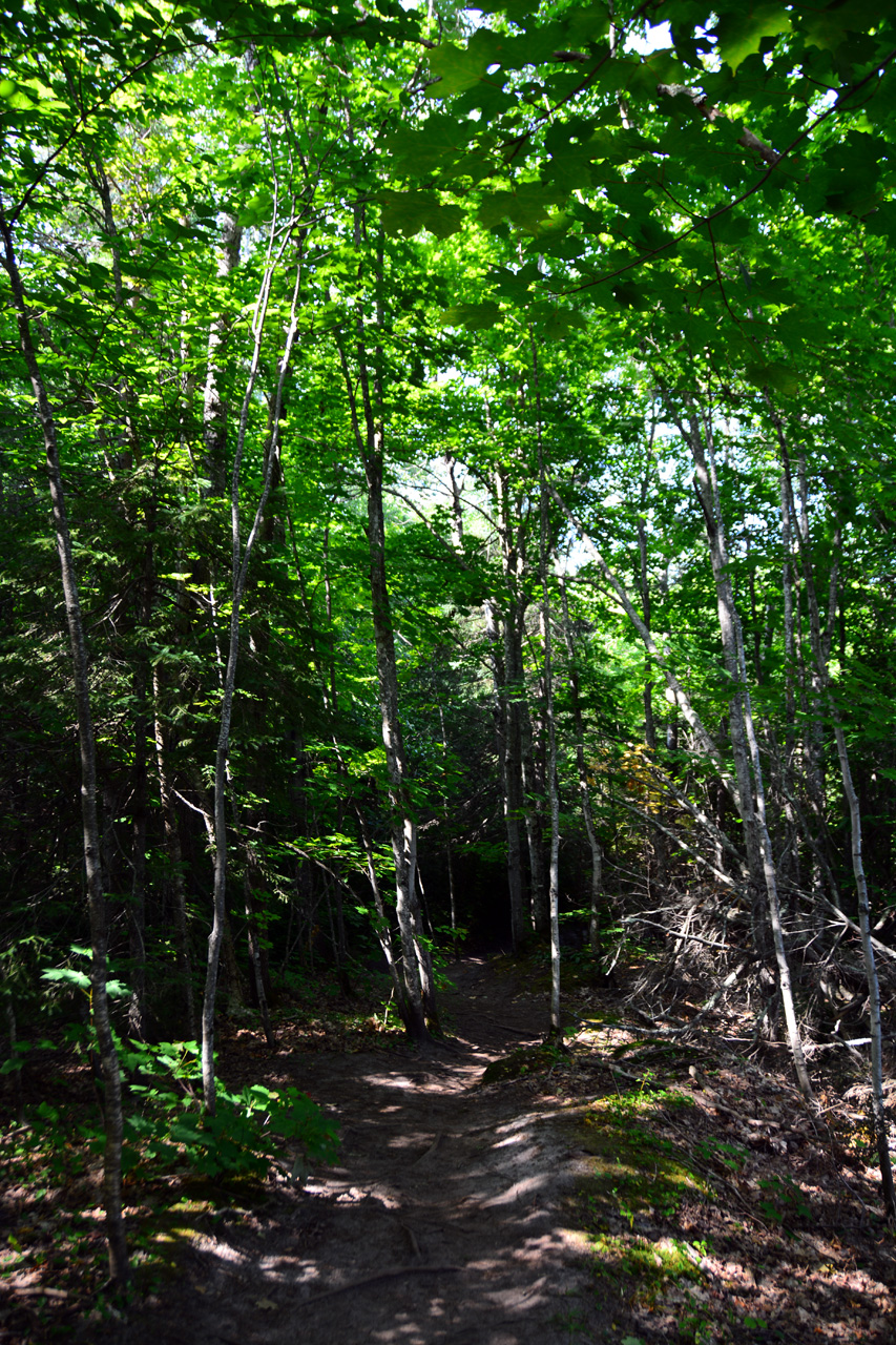 2014-08-15, 002, Mosquito Falls, Pictured Rocks NS, MI