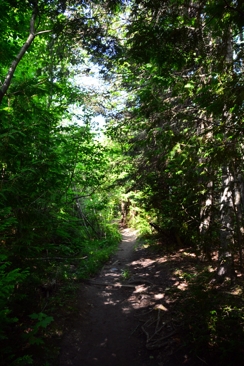 2014-08-15, 003, Mosquito Falls, Pictured Rocks NS, MI