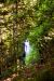 2014-08-14, 031, Miners Falls, Pictured Rocks NS, MI