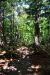 2014-08-15, 001, Mosquito Falls, Pictured Rocks NS, MI