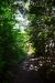 2014-08-15, 003, Mosquito Falls, Pictured Rocks NS, MI