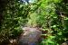 2014-08-15, 065, Sable Falls, Pictured Rocks NS, MI