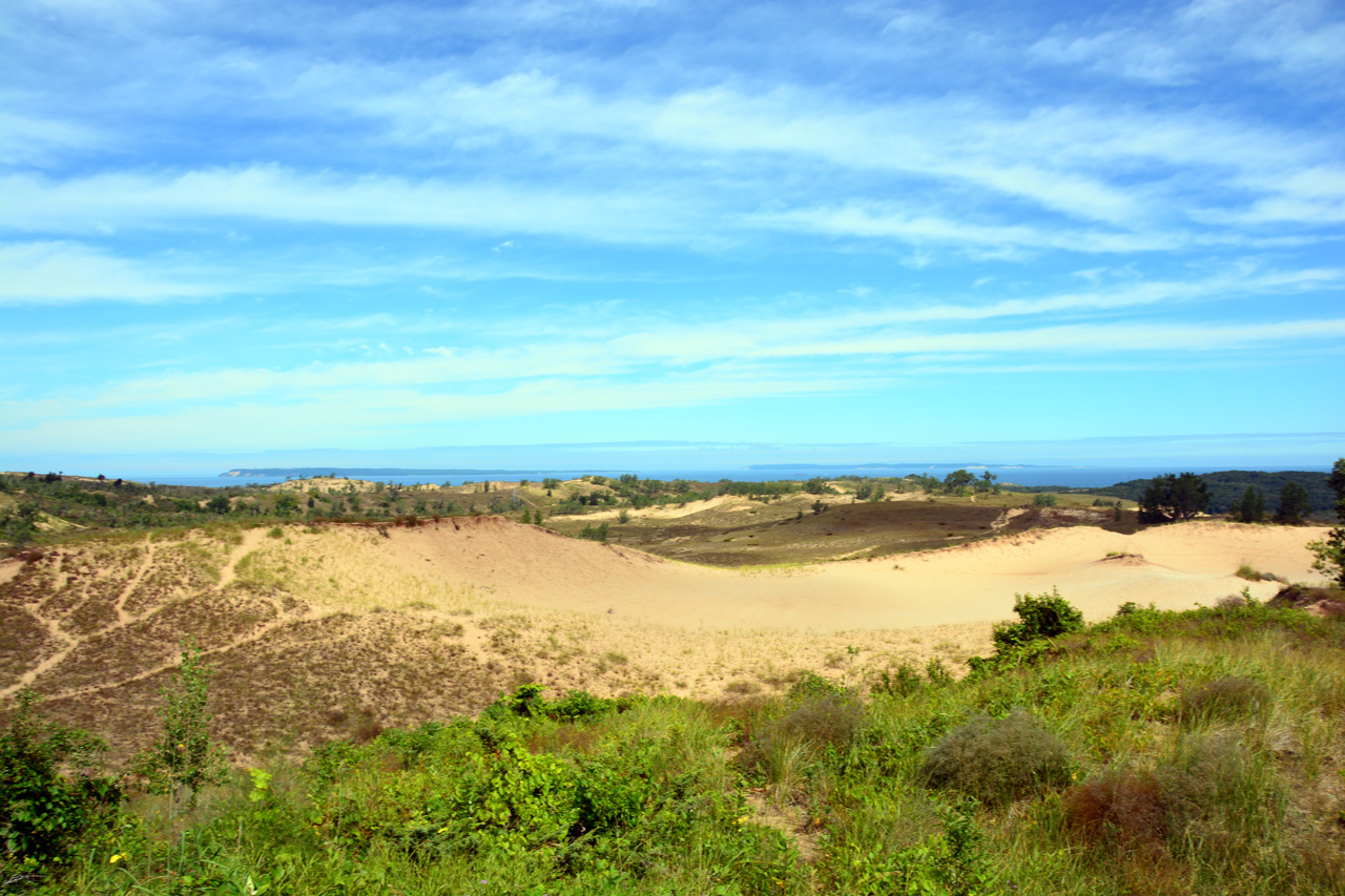 2014-08-20, 011, Cottonwood Trail, Dunes, SBD NL