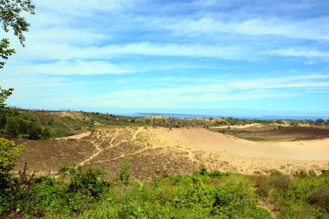 2014-08-20, 012, Cottonwood Trail, Dunes, SBD NL