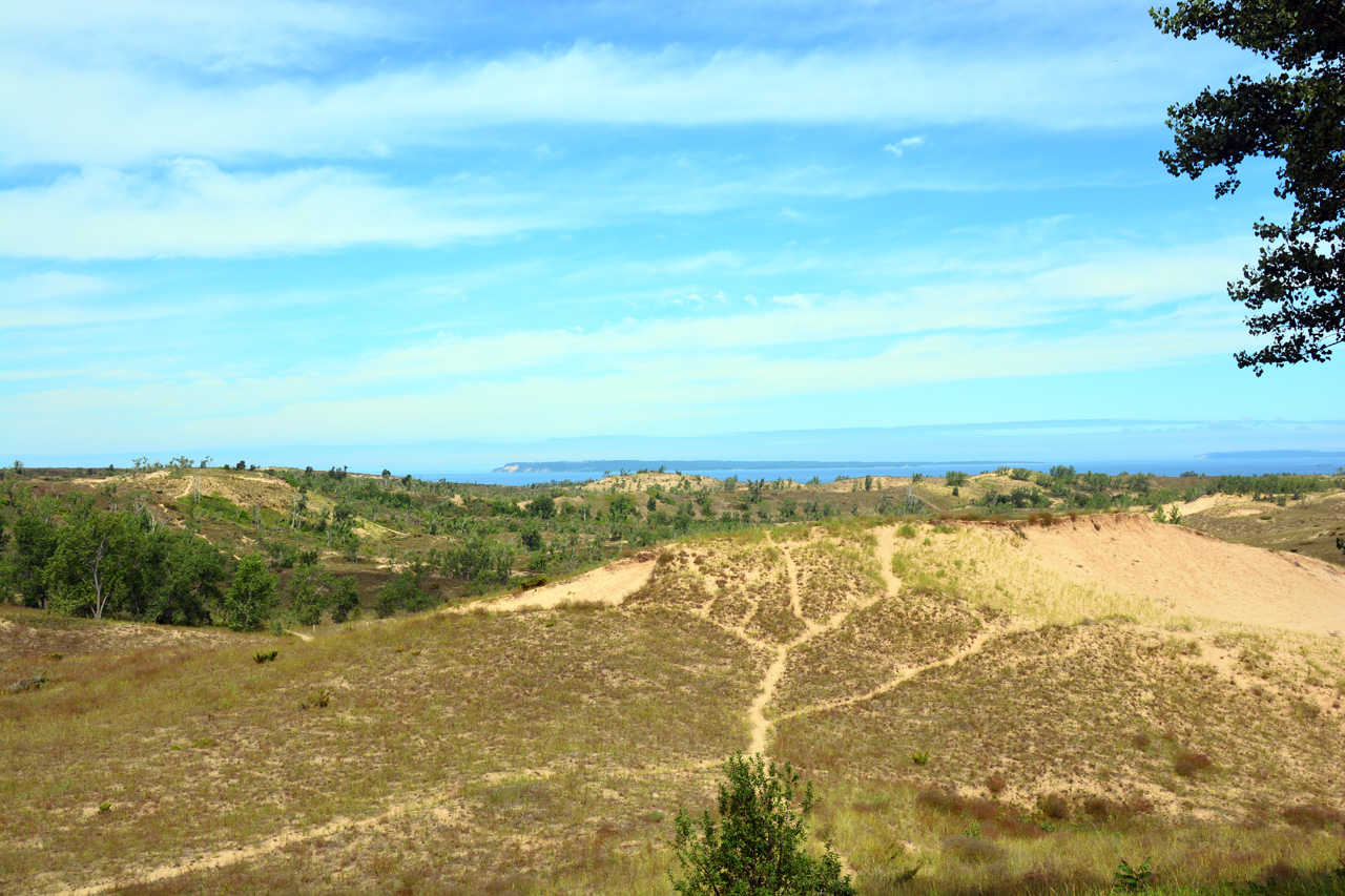 2014-08-20, 013, Cottonwood Trail, Dunes, SBD NL