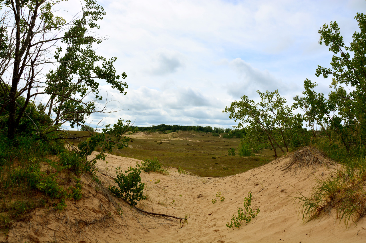 2014-08-20, 019, Cottonwood Trail, Dunes, SBD NL