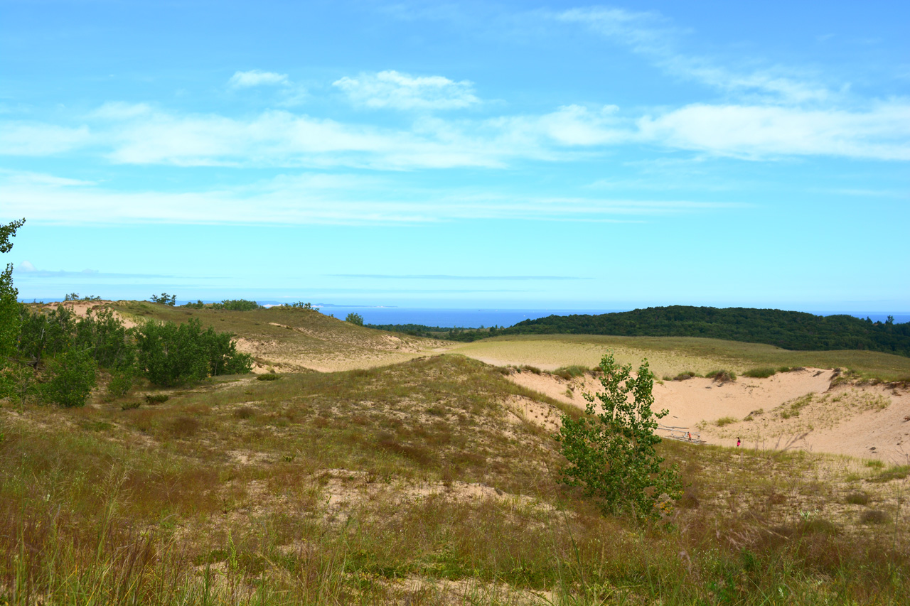 2014-08-20, 020, Cottonwood Trail, Dunes, SBD NL