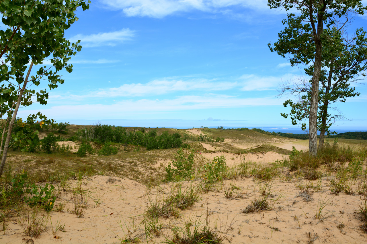 2014-08-20, 021, Cottonwood Trail, Dunes, SBD NL
