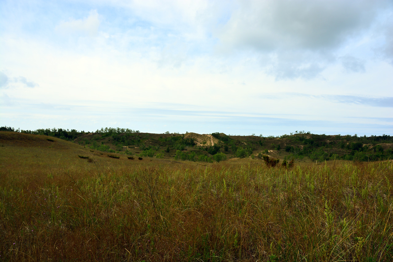 2014-08-20, 028, Cottonwood Trail, Dunes, SBD NL