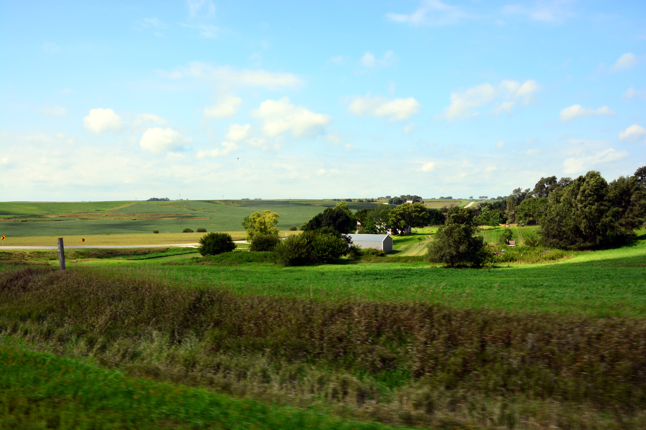 2014-09-03, 015, Farm Land, Corn for Ever, IA