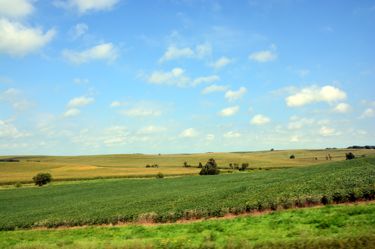 2014-09-03, 016, Farm Land, Corn for Ever, IA