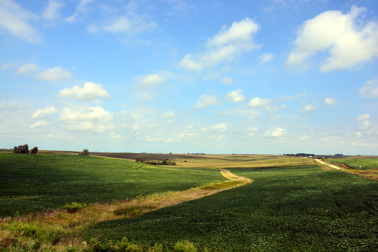 2014-09-03, 017, Farm Land, Corn for Ever, IA