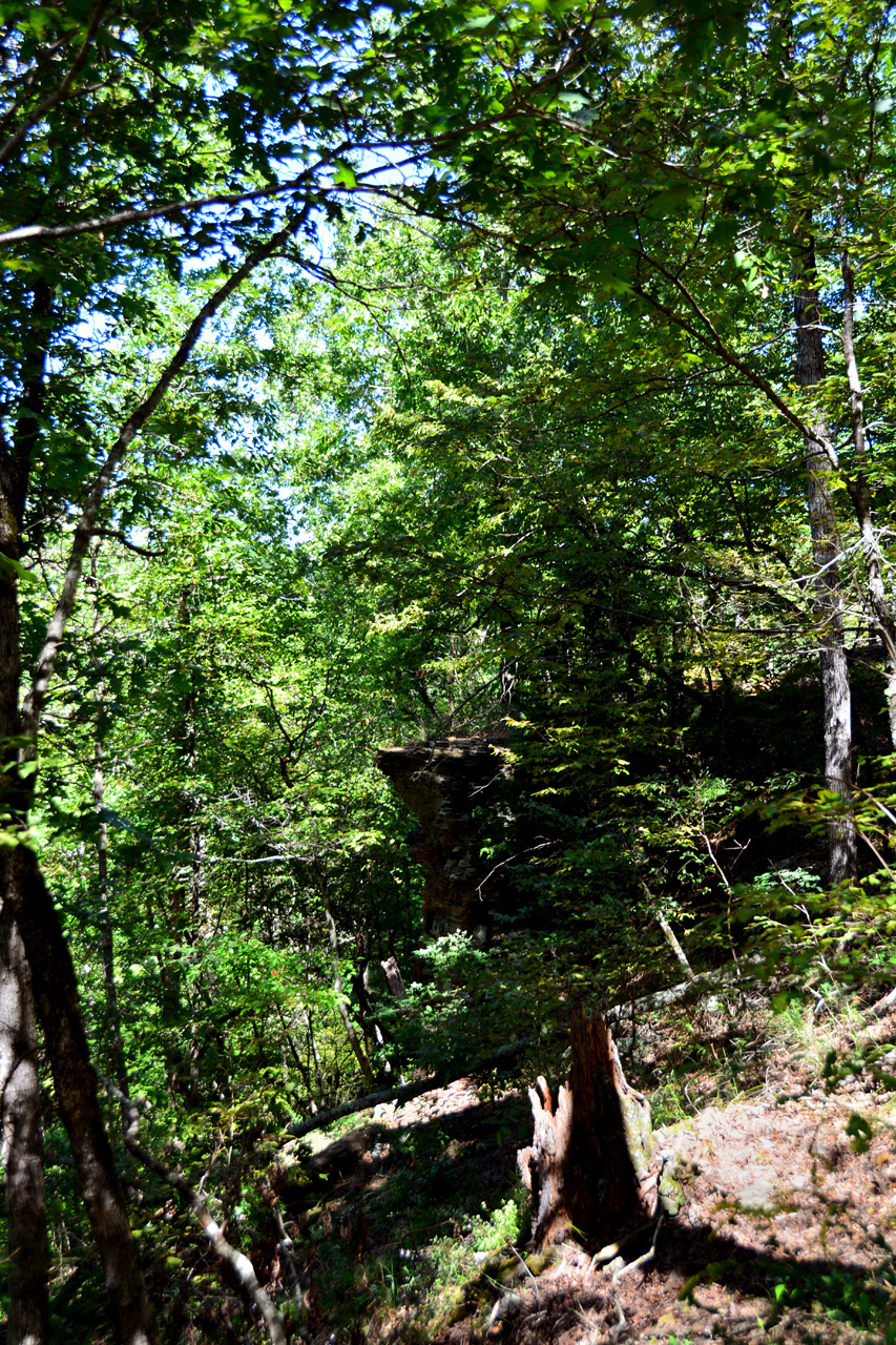 2014-09-14, 013, Devils Den Trail