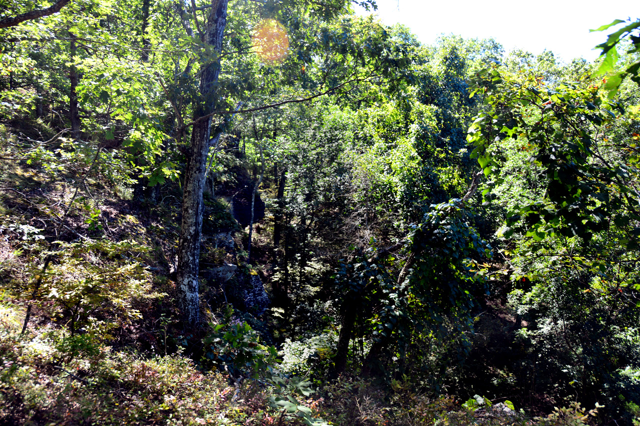 2014-09-14, 030, Devils Den Trail