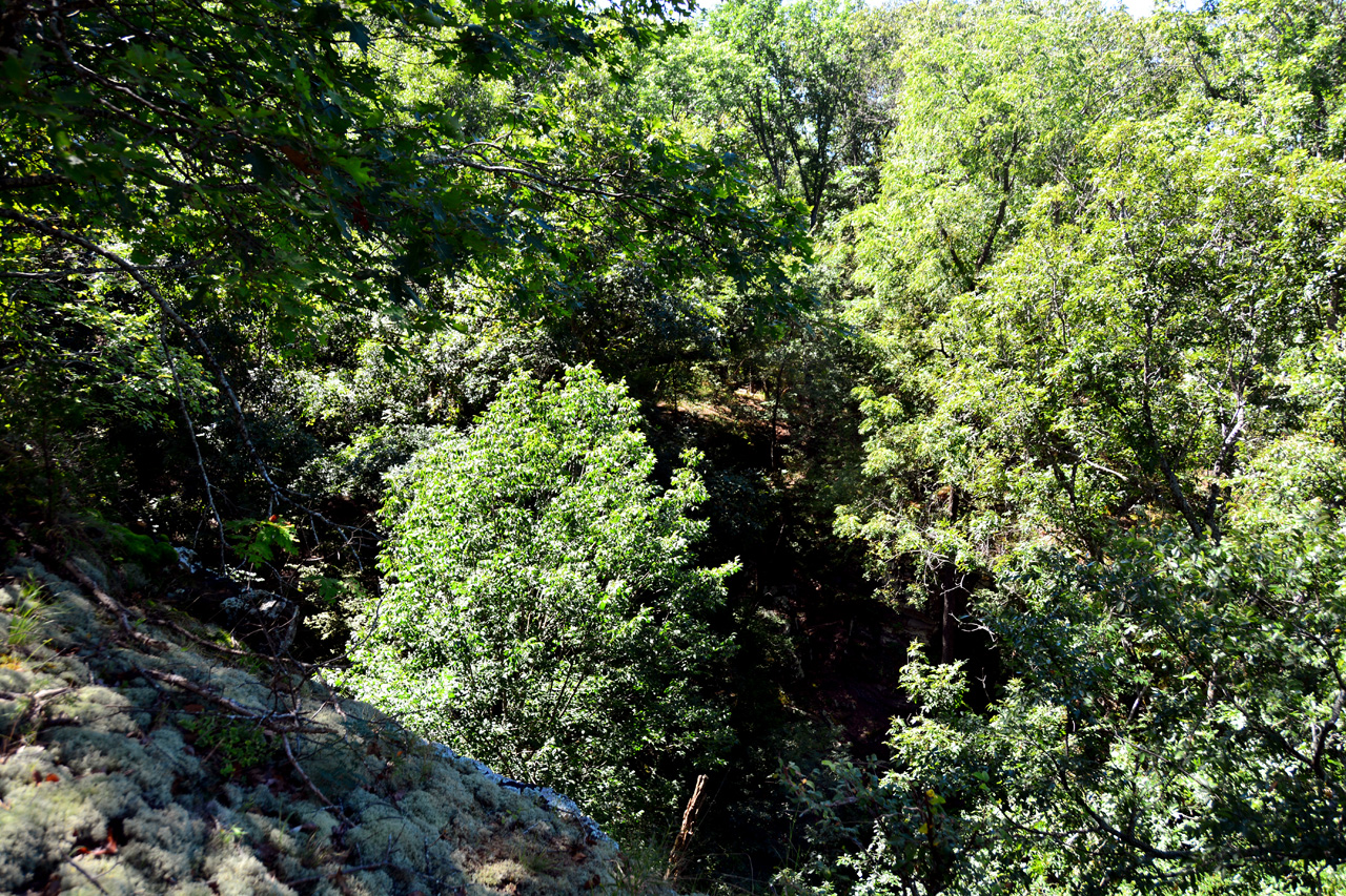 2014-09-14, 031, Devils Den Trail