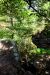 2014-09-14, 005, Devils Den Trail