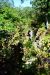 2014-09-14, 025, Devils Den Trail