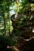 2014-09-14, 036, Devils Den Trail