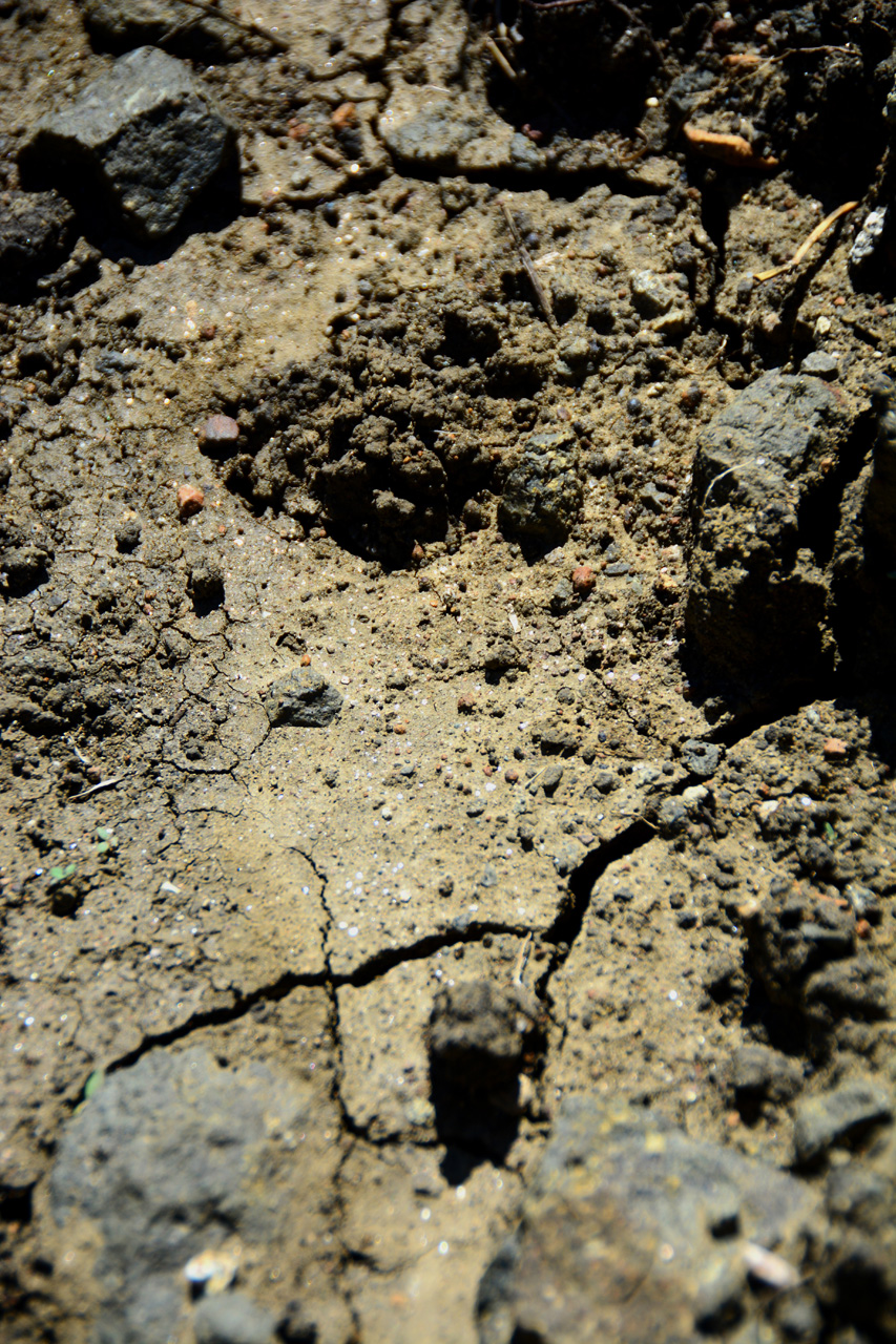 2014-09-22, 031, Crater of Diamonds SP, AR