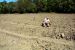 2014-09-22, 029, Crater of Diamonds SP, AR