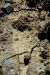 2014-09-22, 031, Crater of Diamonds SP, AR