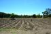 2014-09-22, 036, Crater of Diamonds SP, AR