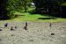 2014-09-22, 039, Crater of Diamonds SP, AR
