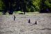 2014-09-22, 041, Crater of Diamonds SP, AR