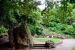 2014-09-19, 071, Hot Springs NP, AR