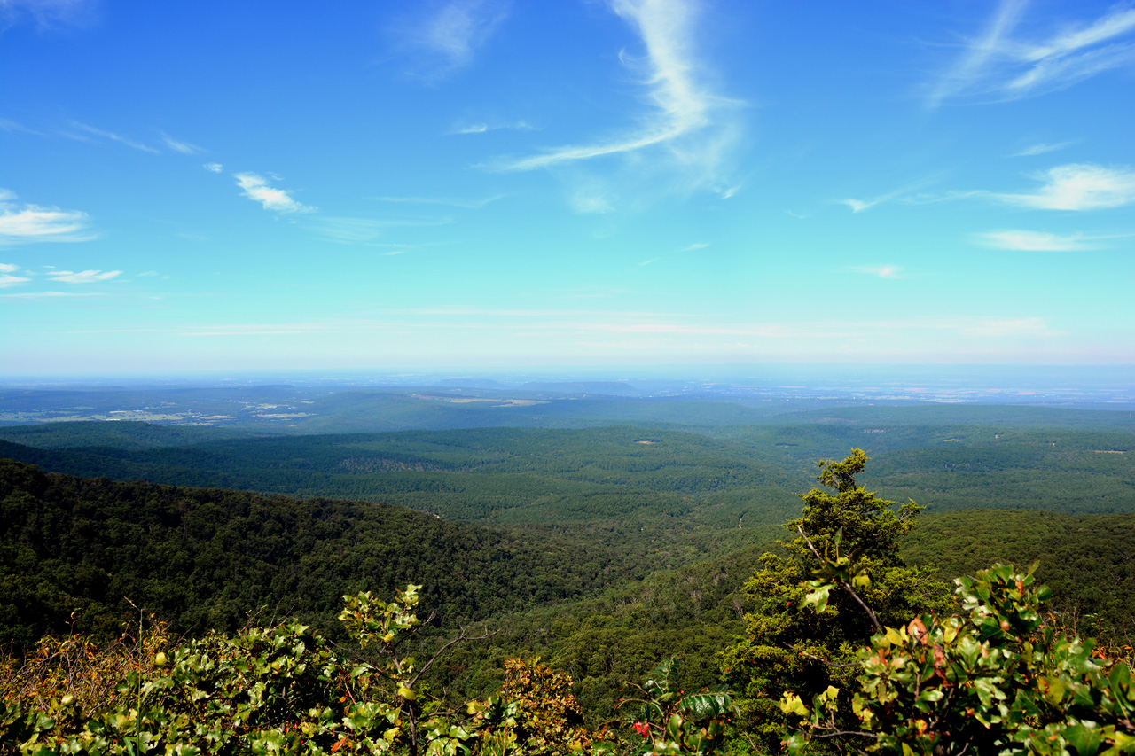 2014-09-23, 011, Mt Magazine State Park, AR