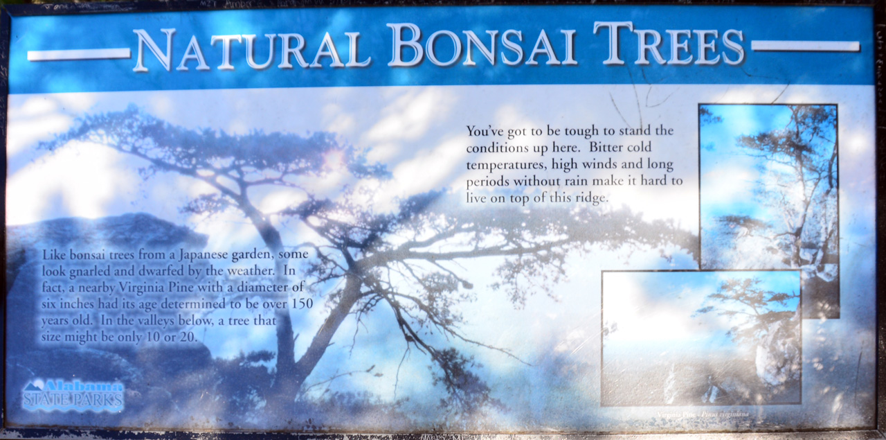 2014-10-16, 018, Bald Rock Trail, Cheaha SP, AL