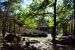 2015-10-15, 003, Cheaha State Park, AL