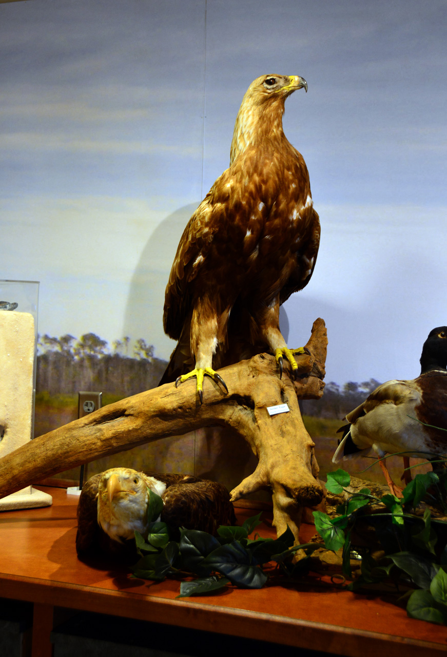 2014-10-24, 019, Nature Ctr, Gulf SP, AL