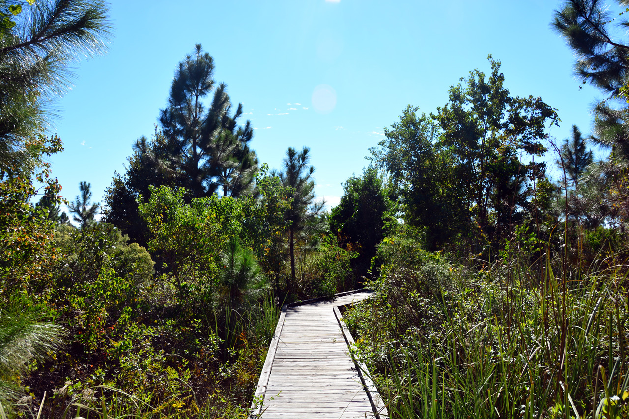 2014-10-24, 028, Middle Lake Overlook, Gulf SP, AL