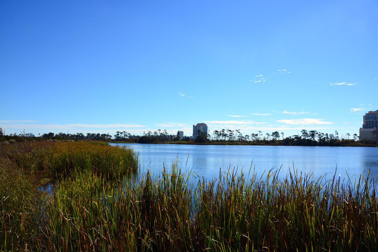 2014-10-24, 032, Middle Lake Overlook, Gulf SP, AL