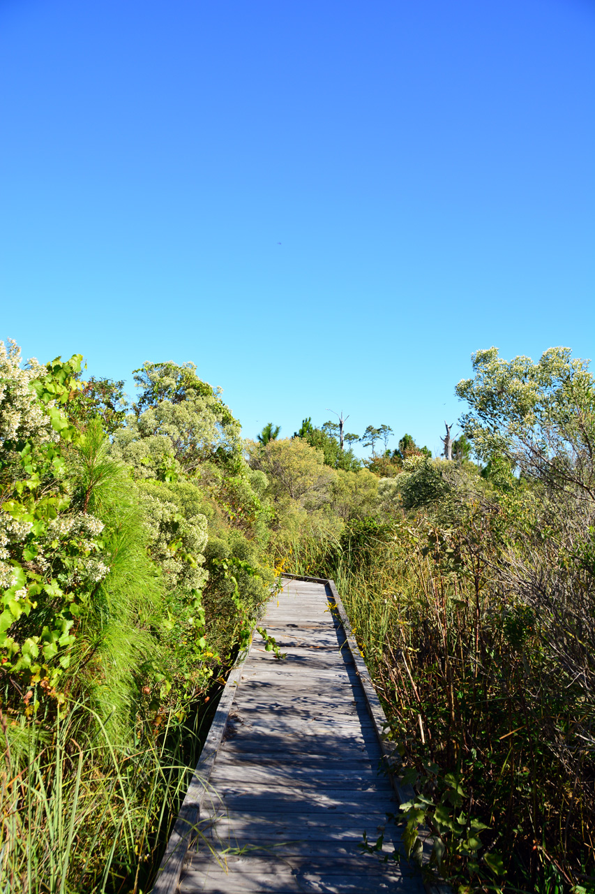 2014-10-24, 033, Middle Lake Overlook, Gulf SP, AL