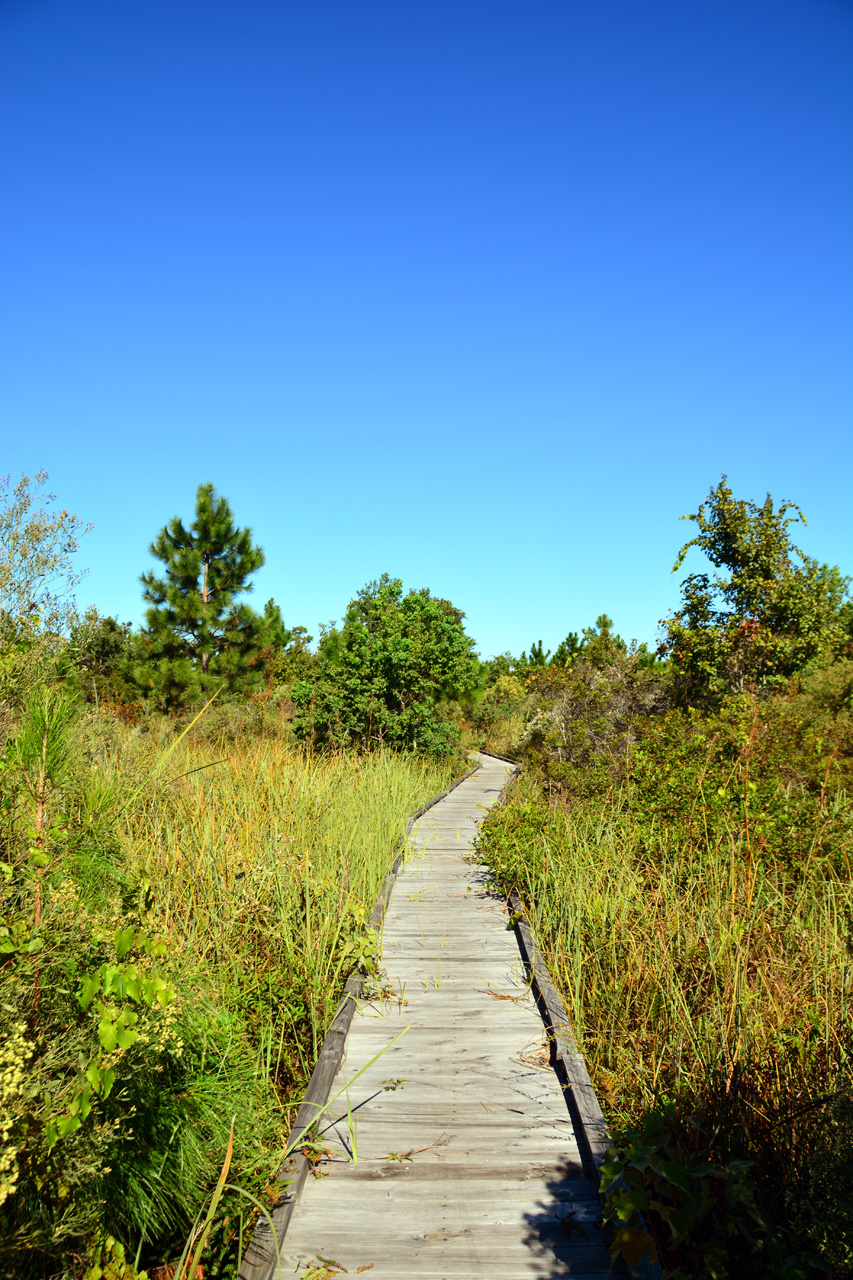 2014-10-24, 034, Middle Lake Overlook, Gulf SP, AL