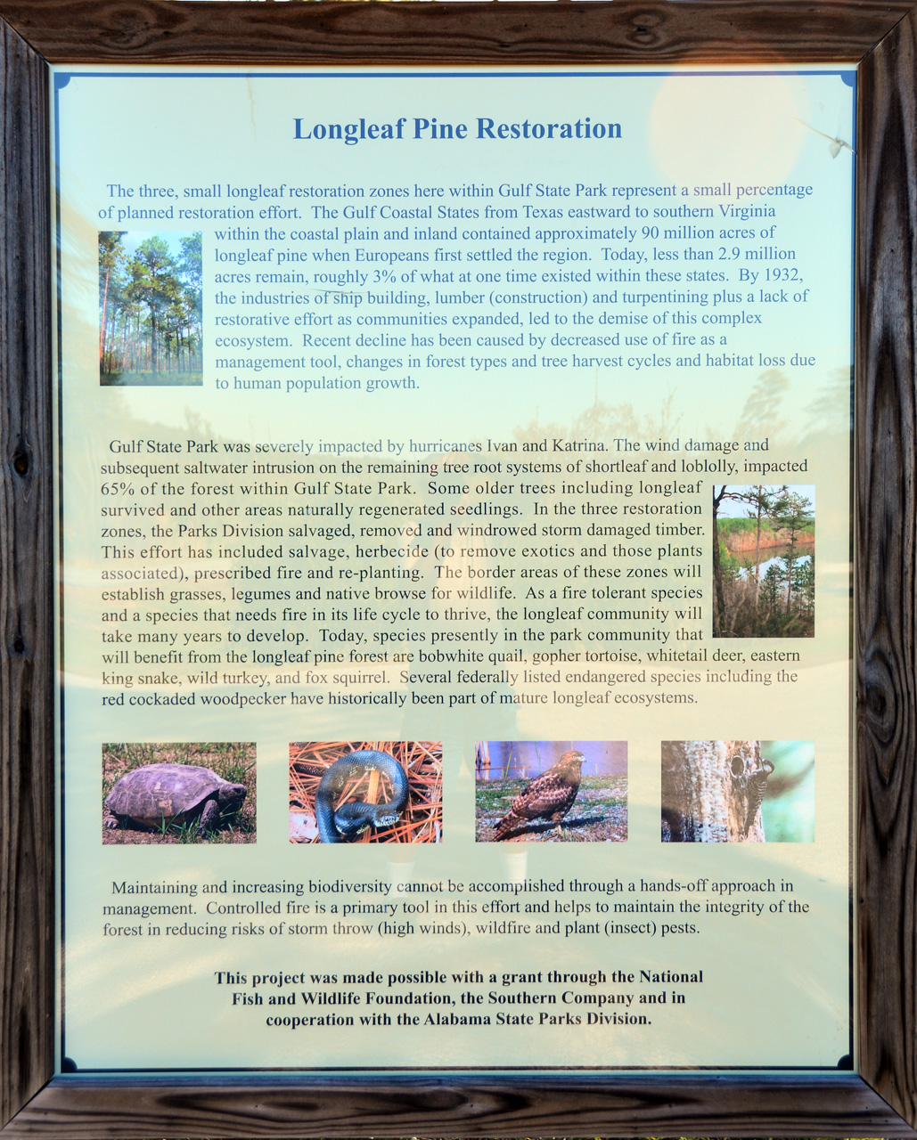 2014-10-24, 039, Armidillo Trail, Gulf SP, AL