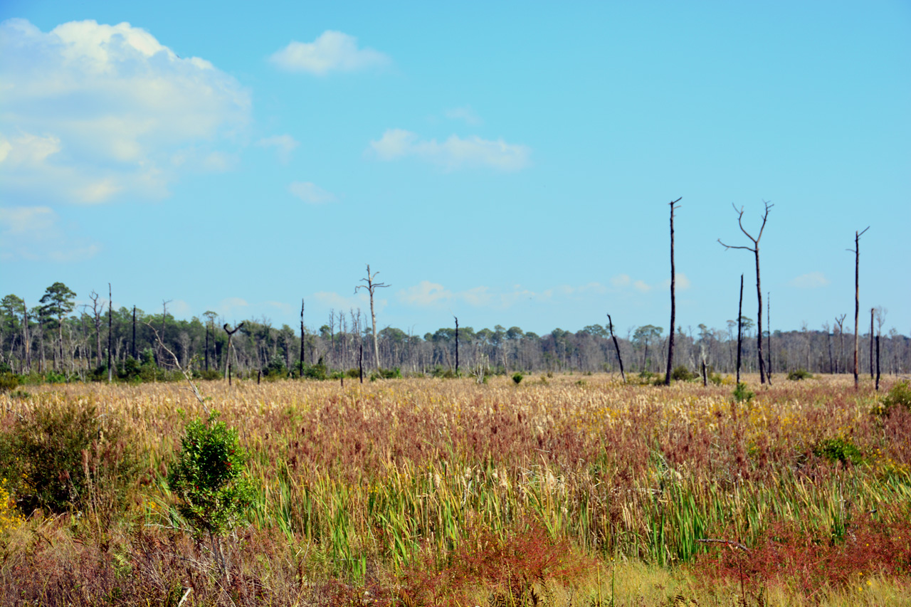 2014-10-27, 007, Power Connection, Gulf SP, AL