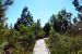 2014-10-24, 028, Middle Lake Overlook, Gulf SP, AL