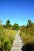 2014-10-24, 034, Middle Lake Overlook, Gulf SP, AL