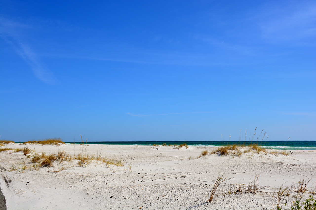 2014-11-03, 003, Along Beach, Santa Rose Island, FL
