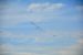 2014-11-08, 115, Blue Angels Air Show, Pensacola, FL