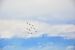 2014-11-08, 117, Blue Angels Air Show, Pensacola, FL