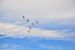 2014-11-08, 139, Blue Angels Air Show, Pensacola, FL