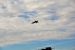 2014-11-08, 171, Blue Angels Air Show, Pensacola, FL
