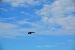 2014-11-08, 190, Blue Angels Air Show, Pensacola, FL