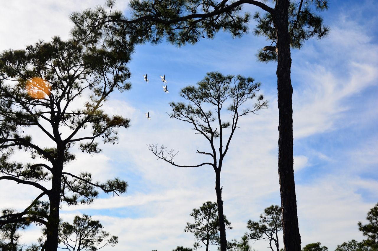 2014-11-07, 007, Blue Angels Practice Overhead